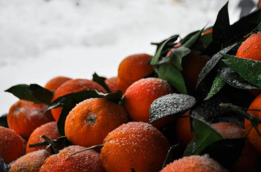 Fruits in winter for immunity boost