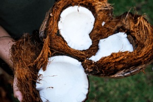 kitchen Jugad Tired of removing coconut