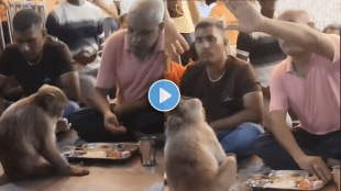 man sharing his food with monkey on viral video on social media