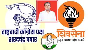 Maharashtra assembly elections 2024 news in marathi