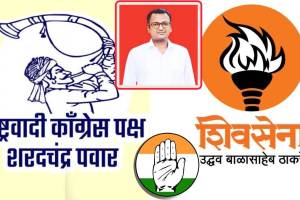 Maharashtra assembly elections 2024 news in marathi