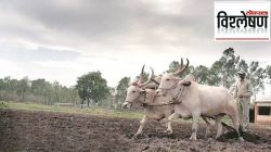 नैसर्गिक शेतीसाठी केंद्र सरकारची नवीन योजना; शेतकऱ्यांना कसा फायदा होणार?