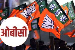 maharashtra Assembly Election 2024 OBC rashtriya seva sangh Mahayuti BJP wins in Vidarbha print politics news