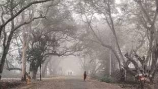 Pune city is cold due to a drop in maximum and minimum temperatures Pune print news