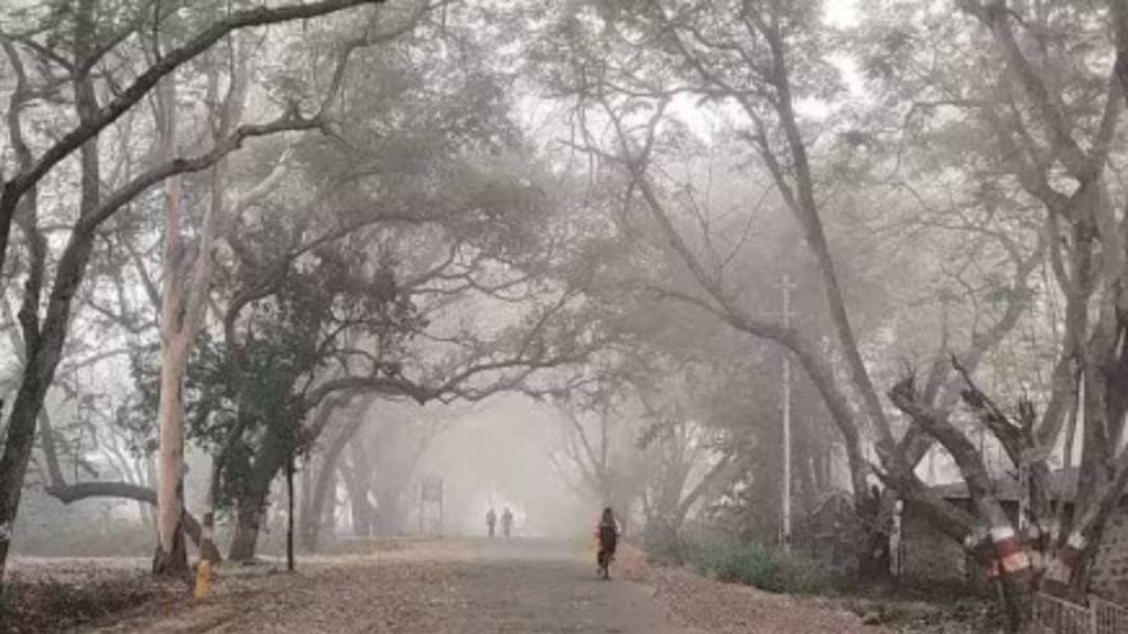 Pune city is cold due to a drop in maximum and minimum temperatures Pune print news