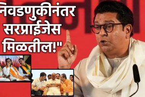 raj thackeray maharashtra vidhan sabha election 2024 (1)