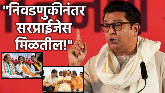 raj thackeray maharashtra vidhan sabha election 2024 (1)