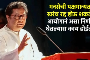 raj thackeray mns party disqualification