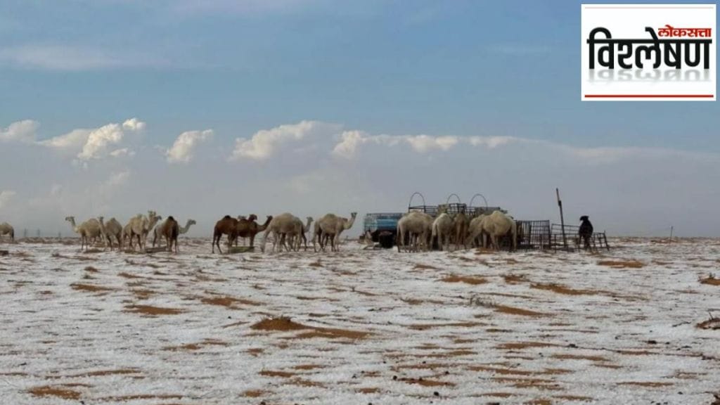 saudi arabia snowfall