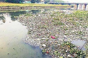 mpcb issues notice to hinjewadi it park over functioning of common sewage treatment plan