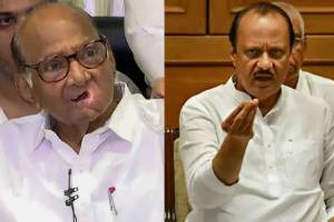 sharad pawar Ajit Pawar injustice statement maharashtra vidhan sabha election 2024