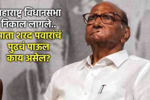 sharad pawar maharashtra vidhan sabha election