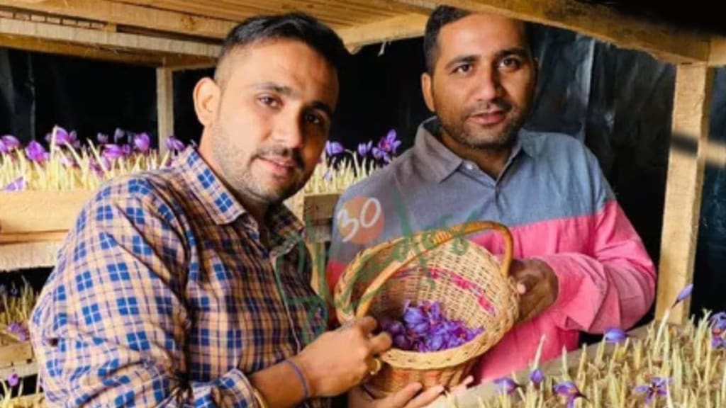 success story of Sindhu brothers who grows keshar with aeroponics method most expensive spice sells it for lakhs