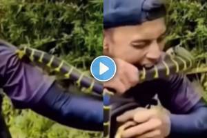 snake viral video | snake bit video