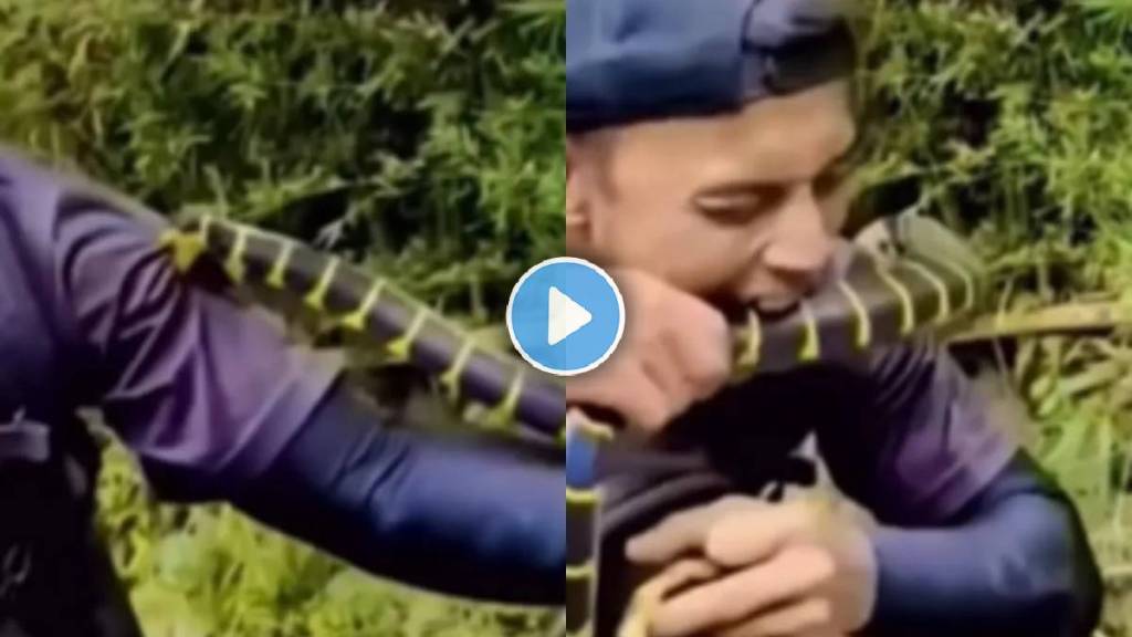 snake viral video | snake bit video