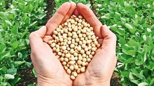 It decided to extend date of soybean purchase registration by seven days till January 6