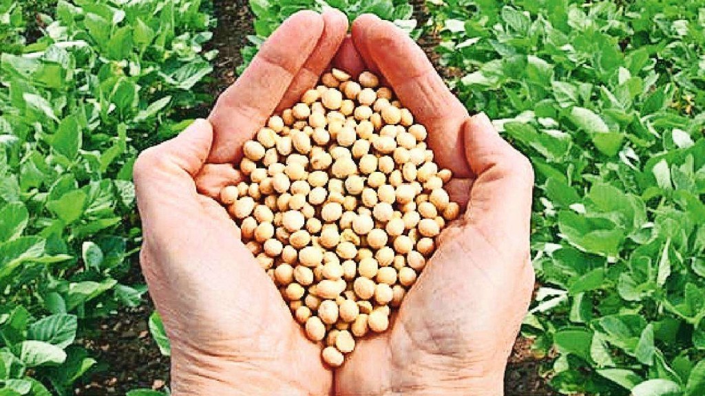 Mission on Oilseeds in Crisis due to gm soybeans