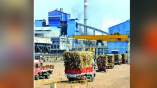 Mahayutti candidates pressurize to extend the harvesting season Mumbai news