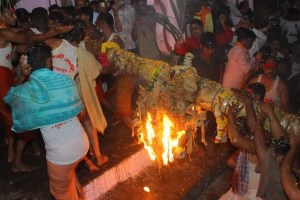 bhendoli festival celebrated in tuljabhavani temple