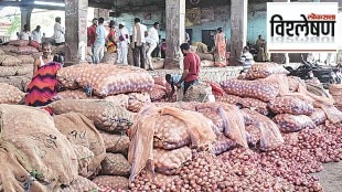 onion crisis in maharashtra loksatta analysis how long shortage of onion remain in india