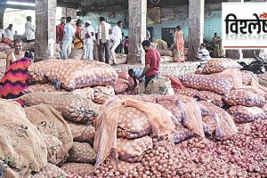 onion crisis in maharashtra loksatta analysis how long shortage of onion remain in india