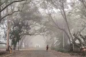 Maharashtra, cold, winter, weather forecast, 15 November