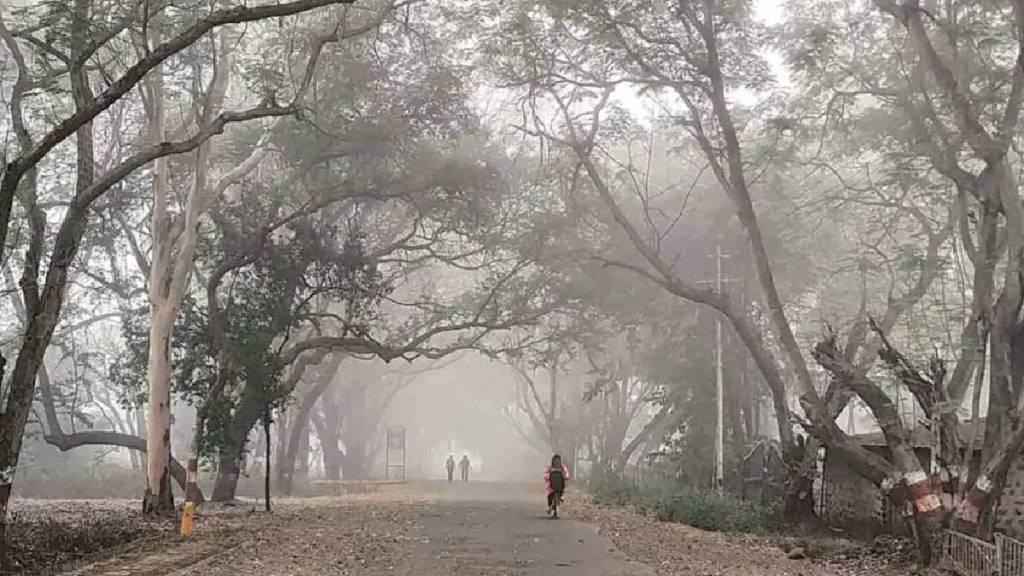 Maharashtra, cold, winter, weather forecast, 15 November