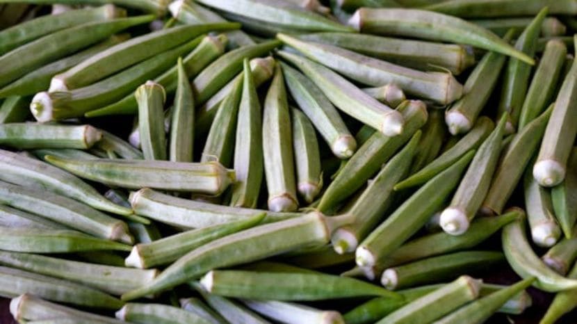 Winter Benefits of Bhindi