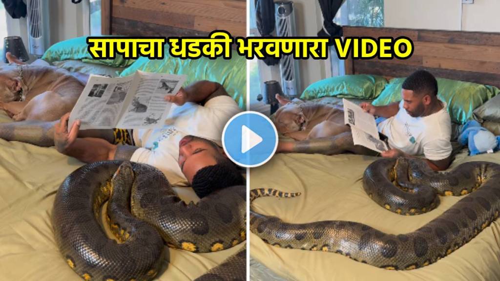 US man reads with giant anaconda Snake shocking video Viral