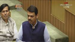 Devendra Fadnavis : देवेंद्र फडणवीस यांचं वक्तव्य, “आम्ही निवडणुकीत सगळे बॅट्समन मैदानात उतरवले आणि..”