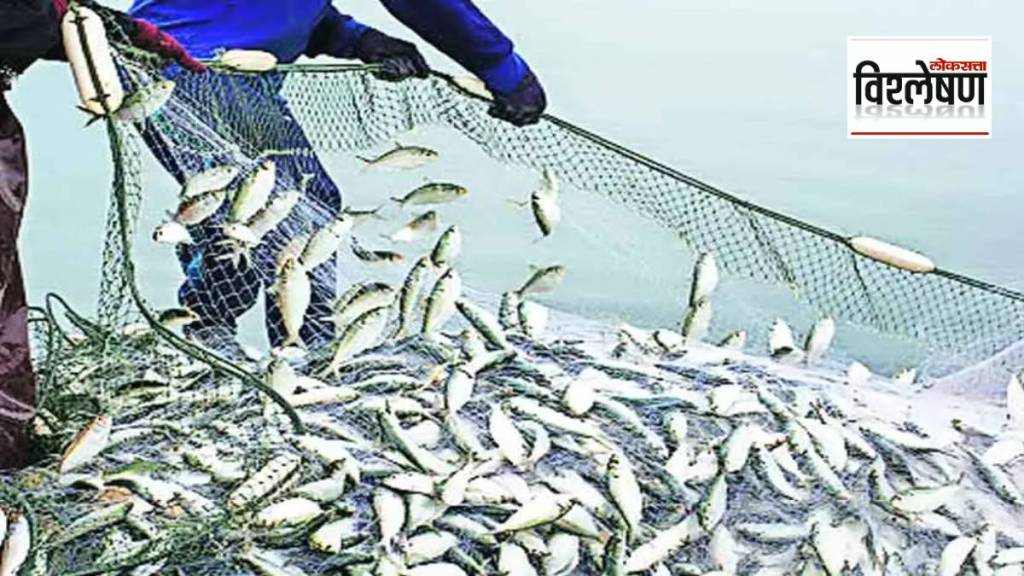 Why has fish production in Konkan decreased this year print exp