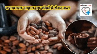 Flavanol-rich dark cocoa promotes stem cell activity and its connection to cardiovascular health