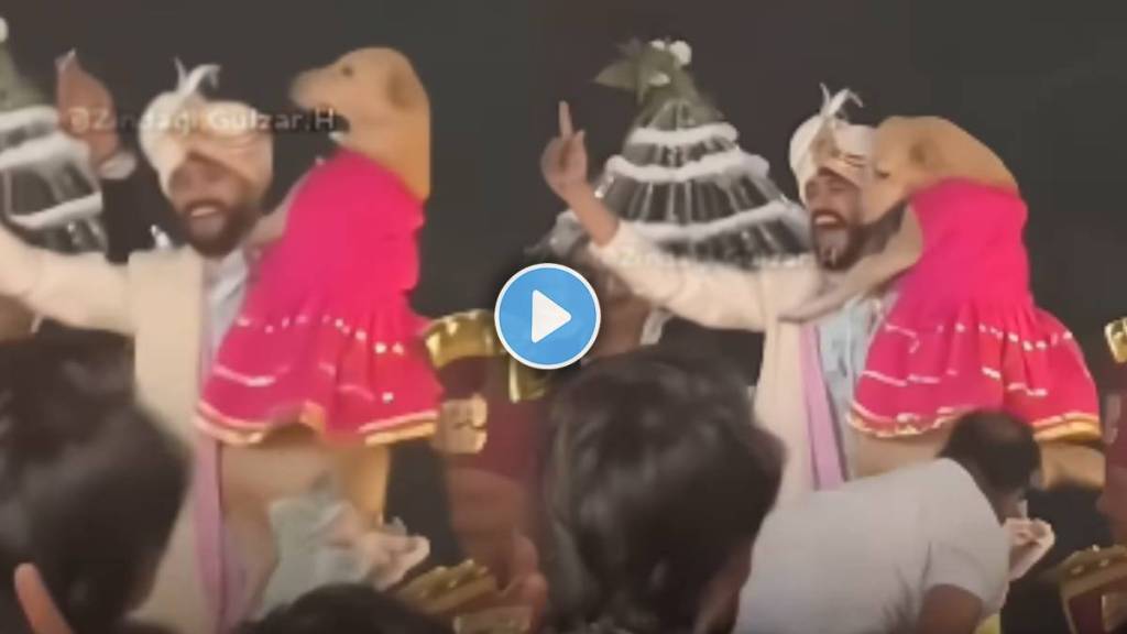 Groom Dancing With His Pet Dog In Viral Video