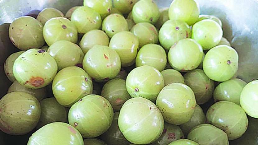 How To Make Chatpati Amla Goli