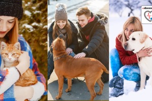 How often should you bathe your pets in winter Experts weigh in