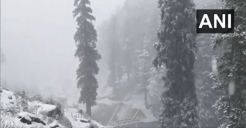 Jammu and Kashmir Srinagar Snowfall 2024