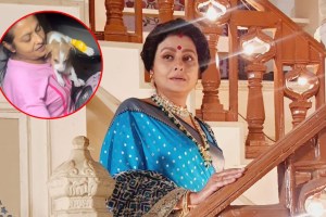 Jaya Bhattacharya Saves Puppy