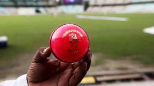 Why Pink Ball is used in Day Night Test match IND vs AUS Adelaide Test