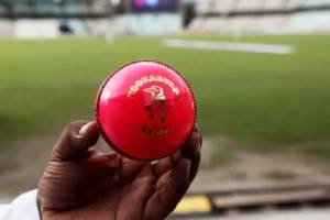 Why Pink Ball is used in Day Night Test match IND vs AUS Adelaide Test