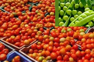 In Mumbai Agricultural Produce Market Committee arrival of tomatoes and peas is decreasing and prices have increased