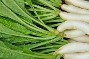 Radish leaves benefits reasons why radish leaves must not be thrown away