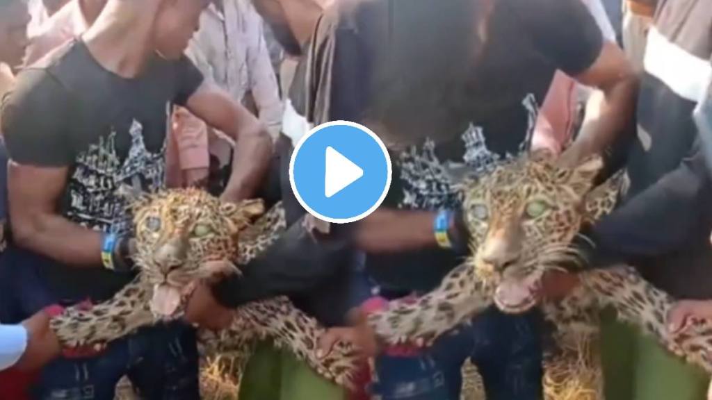 People caught the leopard in bihar shocking video goes viral on social media