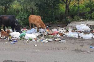 international standard exhibition center in Moshi empire of garbage created along boundary walls on all sides of this center