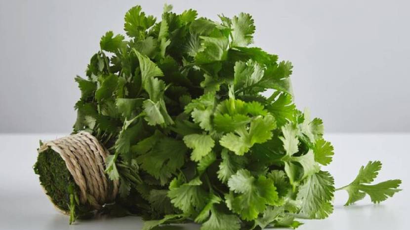 When to add coriander to vegetables Learn the correct method