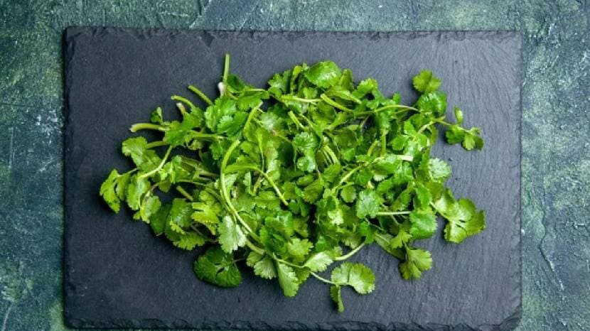 When to add coriander to vegetables Learn the correct method