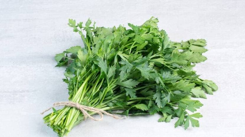 When to add coriander to vegetables Learn the correct method