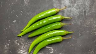 How to store green chili for a long time