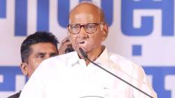 Sharad Pawar : महायुती सरकारच्या शपथविधीला का नाही गेले? शरद पवारांनी सांगितलं मोठं कारण; म्हणाले, “…म्हणून मी आलो नाही”