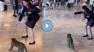 Google Trend Viral Video something a woman did with a monkey