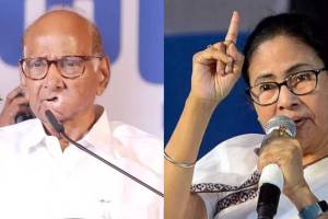 Sharad Pawar On Mamata Banerjee